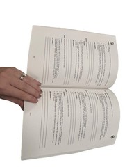 Vanilla Vocabulary (Level 2) : Visualized Verbalized Vocabulary Book Nanci Bell