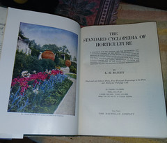 STANDARD CYCLOPEDIA OF HORTICULTURE 3 Vol. 3500ppHc Dj by L.H.Bailey 1928