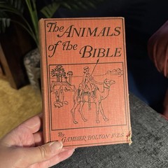 1901 The Animals Of The Bible Gambier Bolton Illustrated Natural History Book