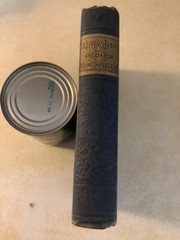Gulliver’s Travels 1881 Baron Munchausen BINDING ERROR! Travels Remote Nations