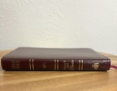 NIV The Broadman & Holman Pocket-Size Classic Bible Burgundy Leather GoldTrim 95