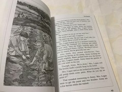 Pulling Together/Carolina’s Courage/Jenny Wren/On Yonder Mountain BJU Press Bks