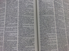 Funk & Wagnalls New Comprehensive International Dictionary Volume 1 & 2 Deluxe