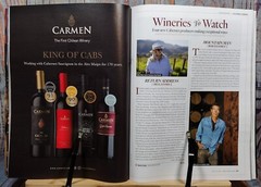 Wine Spectator Magazine NOV 15, 2021 Blockbuster Cabernets from Napa Annual Tast