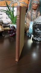 The Ancient Beautiful Things by Fannie Stearns Davis 1923 Vintage Poetry HB