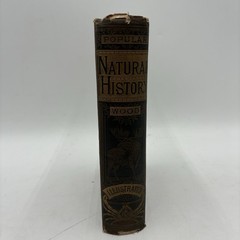 1885 Popular Natural History Rev. J.G. Wood Illustrated Porter & Coates Animals