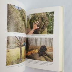 How to Read A Tree by Tristan Gooley & How To HousePlant by Heather Rodino Decor
