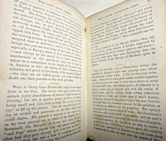 Wild Oats Sown Abroad On Off Soundings Theodore Whitmer 1872 Antique Book