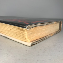 Planet of the Apes Pierre Boulle 1963 Vanguard Press HC Ex-Library DJ