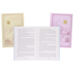 The Summer I Turned Pretty Series by Jenny Han 3 Books Deluxe Box Set – Hardback
