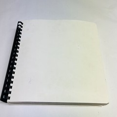 Traveller by Richard Adam’s Volume II Of 3 Pages I-ii & 185-388 IN BRAILLE Book
