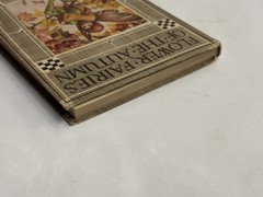 1927 Flower Fairies of the Autumn Cicely Mary Barker 1st American Ed Macmillan