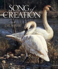 Song of Creation by Brenders, Carl