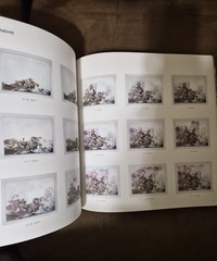 The Pen Manabu Ikeda Japanese Art Book 2017 Technical Pen Painting Japan