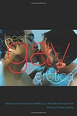Best Gay Erotica 2006 Paperback