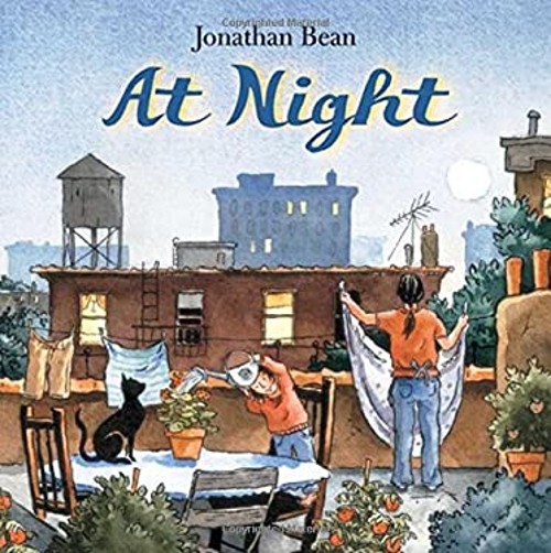 At Night Hardcover Jonathan Bean