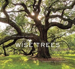 Wise Trees: Ancient trees photographed worldwide, each holding centuries of …
