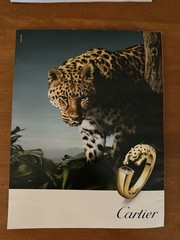 W MAGAZINE ISSUE 1-2026, 4-2025, 5-2025, 6-2025 Each $9.99