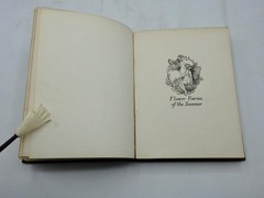 THE BOOK of THE FLOWER FAIRIES by Cicely Mary Barker – Very Clean Volume c1927