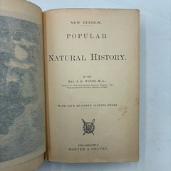 1885 Popular Natural History Rev. J.G. Wood Illustrated Porter & Coates Animals
