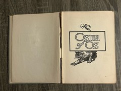 Ozma of Oz by L. Frank Baum – Reilly & Lee 1907 Antique Hardcover 270 Pages
