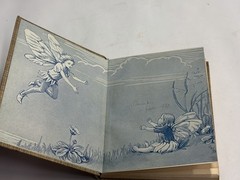 1927 Flower Fairies of the Autumn Cicely Mary Barker 1st American Ed Macmillan