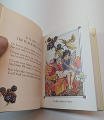 LOT OF 2 Flower Fairies of the Autumn & Spring by Cicely Mary Barker Paperback