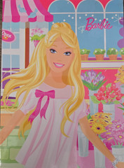 Set of 2 Mattel BARBIE Pink Mini Lined Notebooks 8×5.75 in.