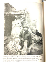 RARE 1ST EDIT! The Wilderness Warrior : Theodore Roosevelt by Douglas Brinkley