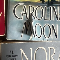Lot of 27 NORA ROBERTS books Romance Thriller Suspense The Garden Three Sisters
