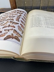 Lot of 8 Volumes of The New Nature Library 1920s 1922/1923 RARE