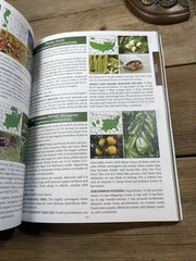 The Forager’s Guide to Wild Foods – The North American Edition – Nicole Apelian