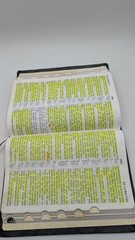 Holy Bible by Thomas Nelson Publishing Staff (2004, Bonded Leather)