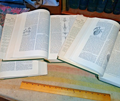 STANDARD CYCLOPEDIA OF HORTICULTURE 3 Vol. 3500ppHc Dj by L.H.Bailey 1928