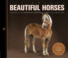 Beautiful Horses : Portraits of Champion Breeds Preened to Perfec
