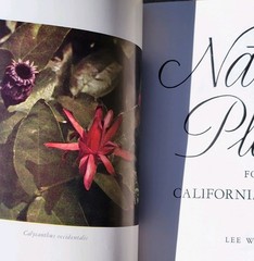 NATIVE PLANTS FOR CALIFORNIA GARDENS ~ 1956 ~ LEE W. LENZ ~ SIGNED! ~ AS FOUND!!