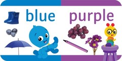 Baby Einstein – My First Library Board Book Block 12-Book Set – First Words, …