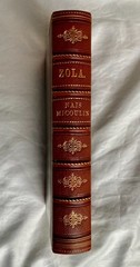 Rare Antique 1884 ÉMILE ZOLA Book Naïs Micoulin, Half Leather, Charpentier Paris