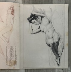 Vintage Walter T Foster Drawing the Figure Russell Iredell Art Book No 20