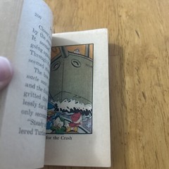 Walt Disney’s Donald Duck in Volcano Valley Big Little Book & Luck Of The Duck
