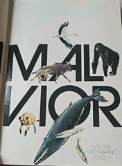The Marvels of Animal Behavior National Geographic First Edition 1972 VINTAGE