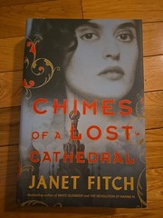 Chimes of a Lost Cathedral by Janet Fitch (2019, Hardcover) Brandon New