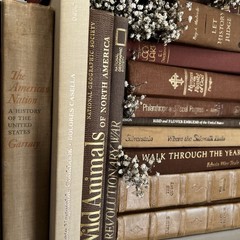 Vintage Book Lot | BROWN Colors | Library Bookshelf Decor | Old Library Staging