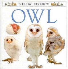 Owl (See How They Grow) – Hardcover By Ling, Mary – VERY GOOD