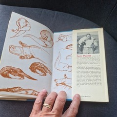 Ring of Bright Water – Gavin Maxwell – 1960 – Vintage Longmans Hardback Book