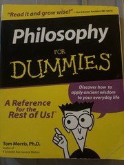 Philosophy for Dummies Paperback