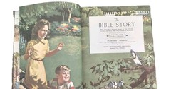 The Bible Story 10 Vols Complete Set Arthur Maxwell Brown Hardcovers Lot 1950s