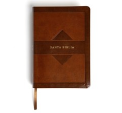RVR 1960 Biblia letra grande tamaño manual edición tierra santa café símil piel