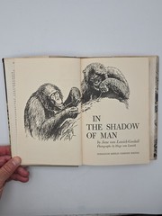 In The Shadow of Man 1971 Jane Van Lawick-Goodall HC DJ Book Club Edition