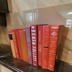 Lot of 10 Hardcover RED BURGUNDY ROSE PINK Shades Books for Staging Prop Decor